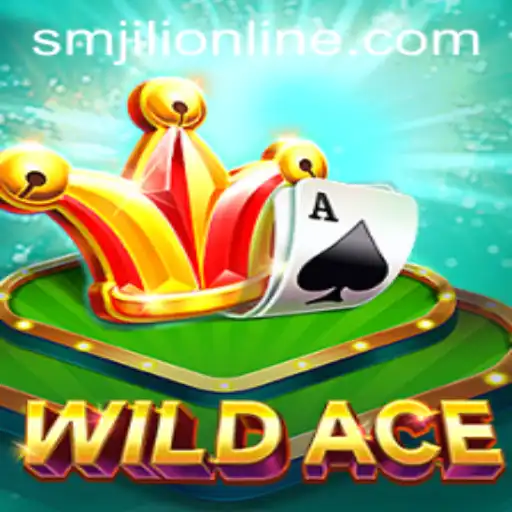 WildAce: The Revolutionary Game Changing Play